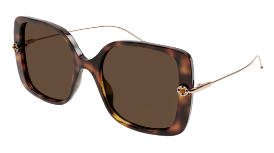 Pomellato Sunglass Woman Havana Gold Brown