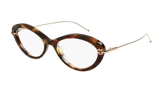 Pomellato Optical Frame Woman Havana Gold Transparent