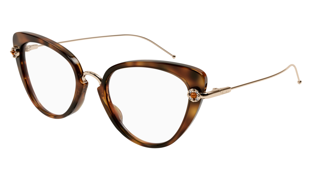 Pomellato Optical Frame Woman Havana Gold Transparent