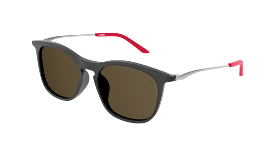 Puma Sunglass Unisex Grey Silver Brown