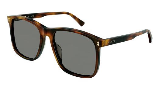 Gucci Sunglass Man Havana Havana Grey