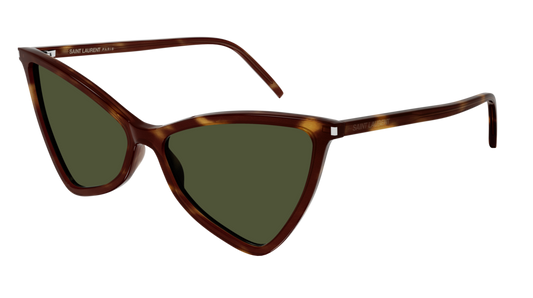 Saint Laurent Sunglass Woman Havana Havana Green