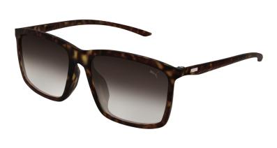 Puma Sunglass Man Havana Havana Brown