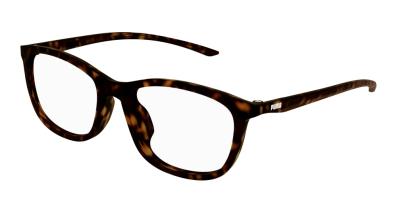 Puma Optical Frame Man Havana Havana Transparent