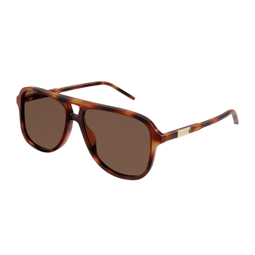 Gucci Sunglass Man Havana Havana Brown