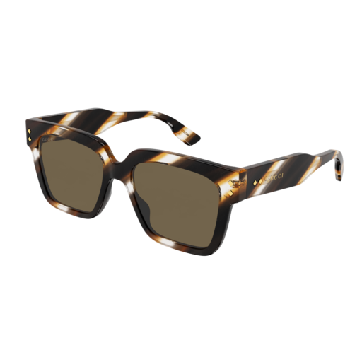 Gucci Sunglass Man Havana Havana Brown