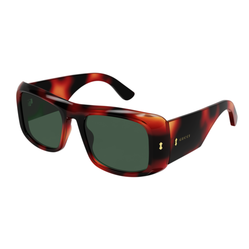 Gucci Sunglass Man Havana Havana Green