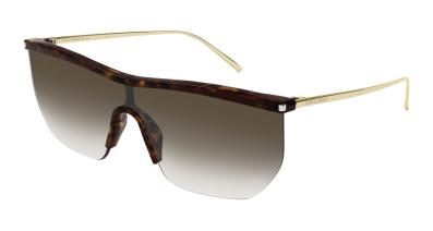 Saint Laurent Sunglass Woman Havana Gold Brown