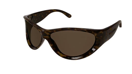 Balenciaga Sunglass Unisex Havana Havana Brown