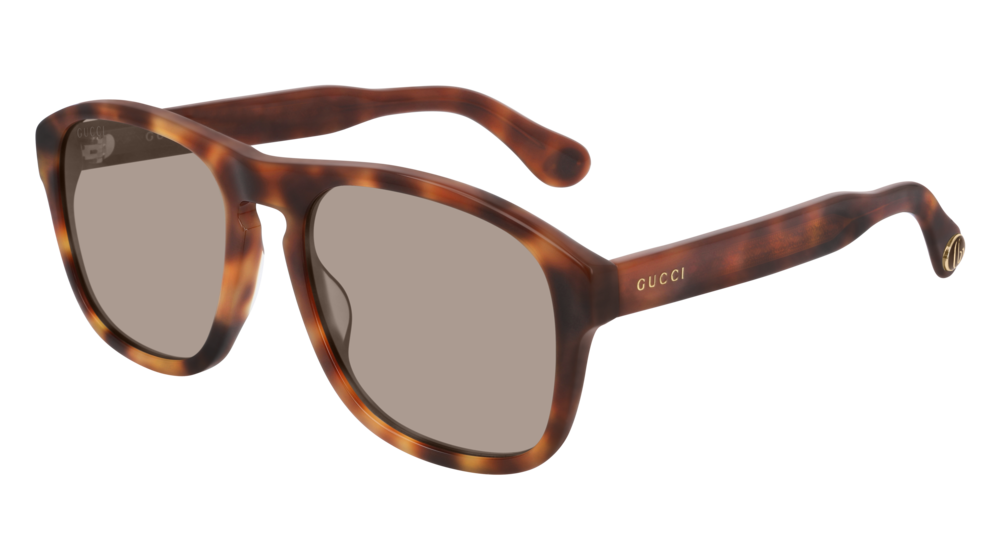 Gucci Sunglass Man Havana Havana Brown