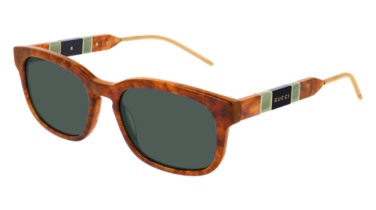 Gucci Sunglass Man Havana Havana Green