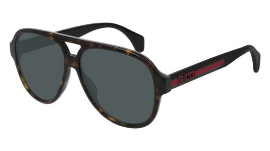 Gucci Sunglass Man Havana Black Green