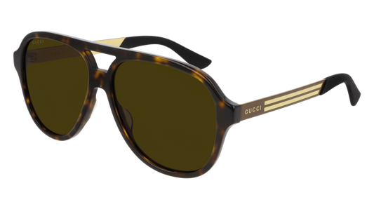 Gucci Sunglass Man Havana Brown Brown