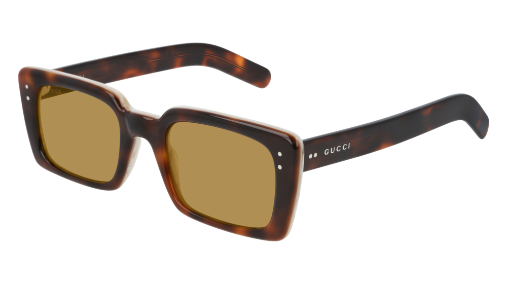 Gucci Sunglass Man Havana Havana Brown