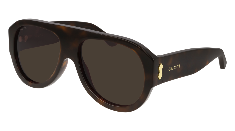 Gucci Sunglass Man Havana Havana Brown