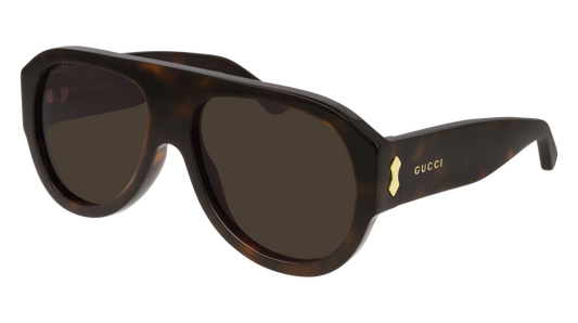 Gucci Sunglass Man Havana Havana Brown