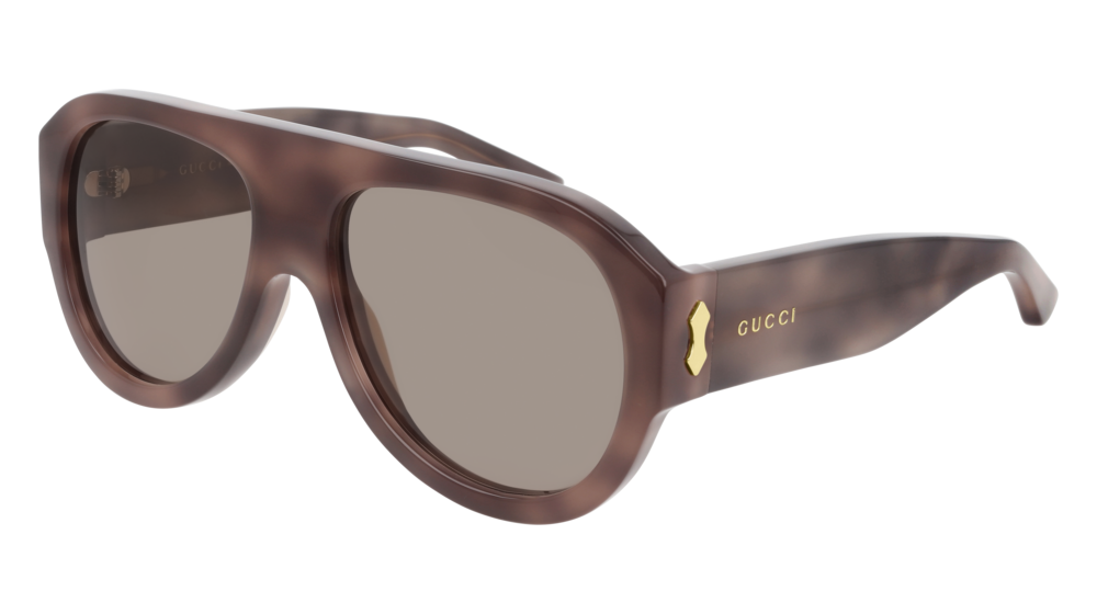 Gucci Sunglass Man Havana Havana Brown