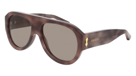 Gucci Sunglass Man Havana Havana Brown