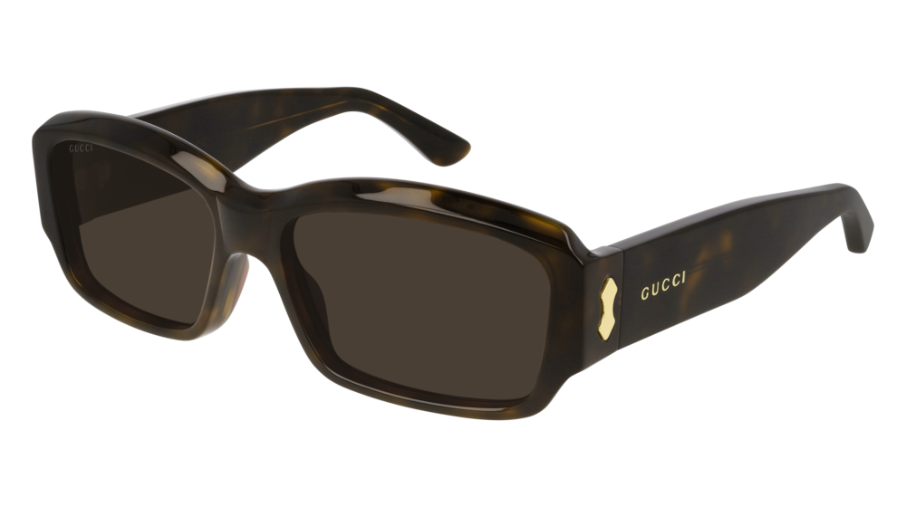 Gucci Sunglass Man Havana Havana Brown