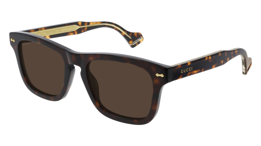 Gucci Sunglass Man Havana Havana Brown