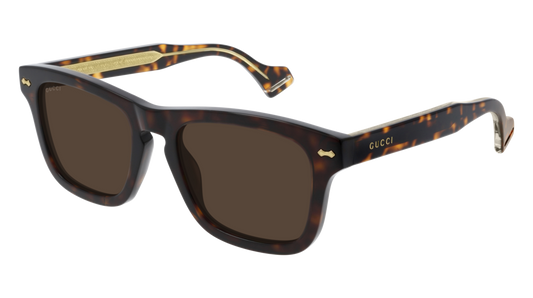 Gucci Sunglass Man Havana Havana Brown