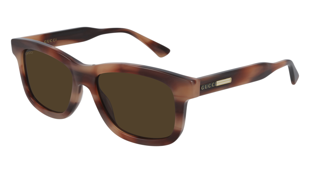 Gucci Sunglass Man Havana Havana Brown