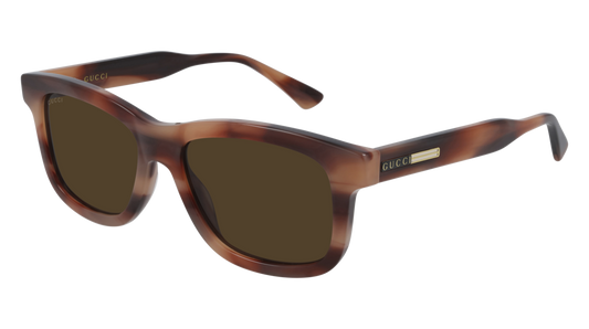 Gucci Sunglass Man Havana Havana Brown