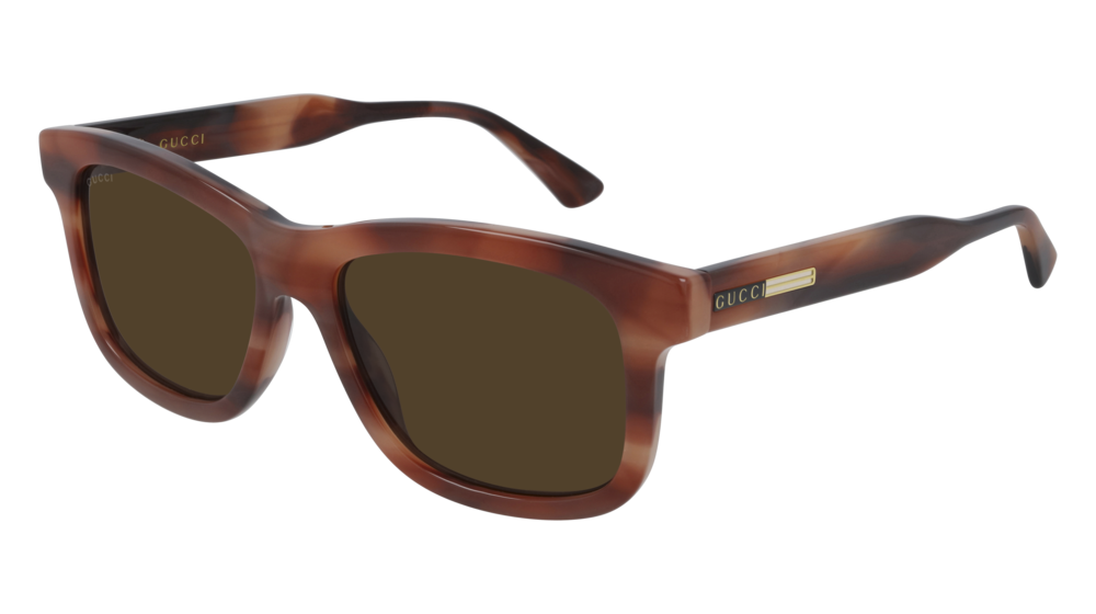 Gucci Sunglass Man Havana Havana Brown