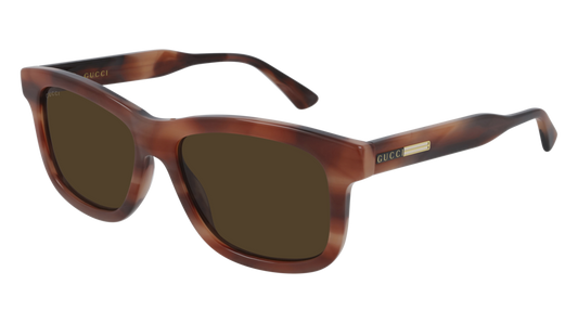 Gucci Sunglass Man Havana Havana Brown