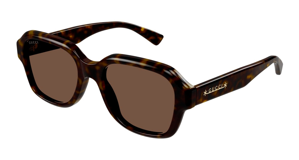 Gucci Sunglass Man Havana Havana Brown