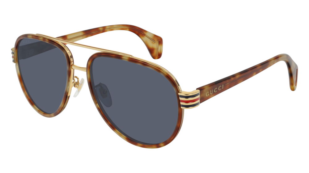 Gucci Sunglass Man Havana Havana Grey