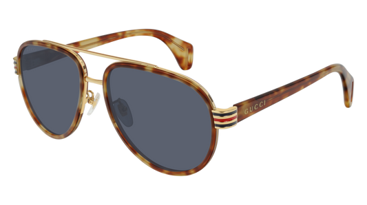 Gucci Sunglass Man Havana Havana Grey