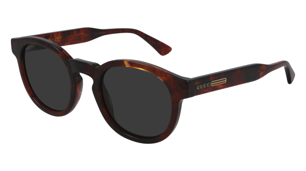 Gucci Sunglass Man Havana Havana Grey