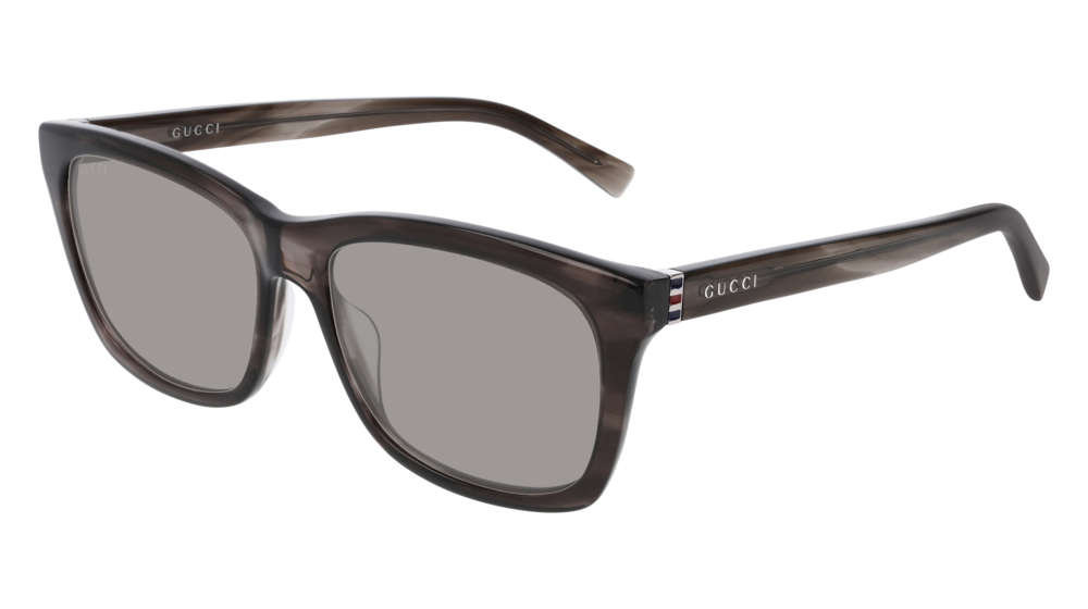 Gucci Sunglass Man Havana Ruthenium Grey