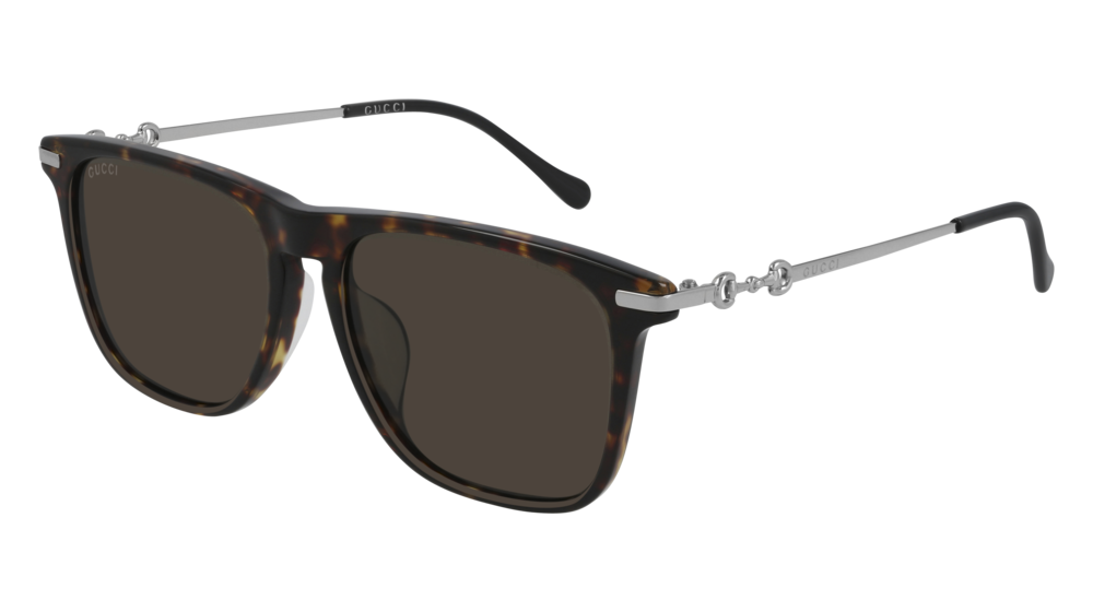 Gucci Sunglass Man Havana Silver Brown