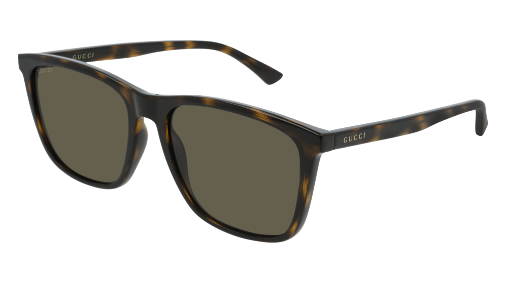 Gucci Sunglass Man Havana Havana Green