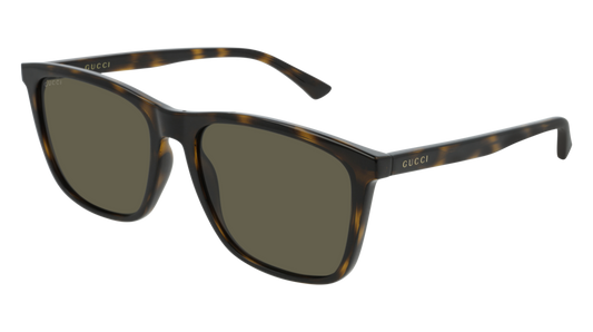 Gucci Sunglass Man Havana Havana Green