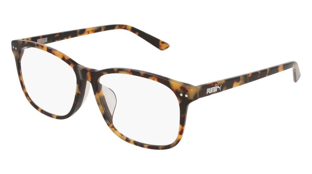 Puma Optical Frame Man Havana Havana Transparent