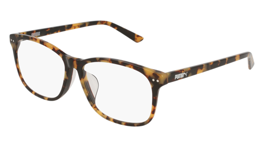 Puma Optical Frame Man Havana Havana Transparent