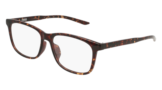 Puma Optical Frame Man Havana Havana Transparent