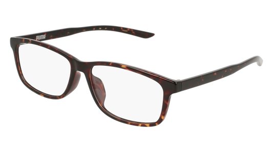 Puma Optical Frame Man Havana Havana Transparent