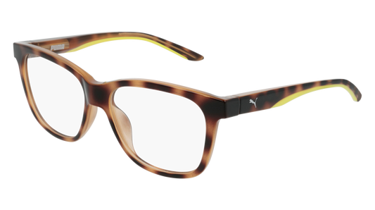 Puma Optical Frame Man Havana Havana Transparent