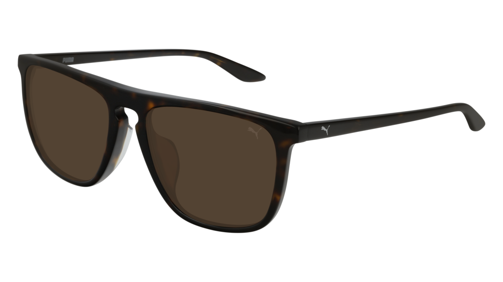 Puma Sunglass Man Havana Havana Brown