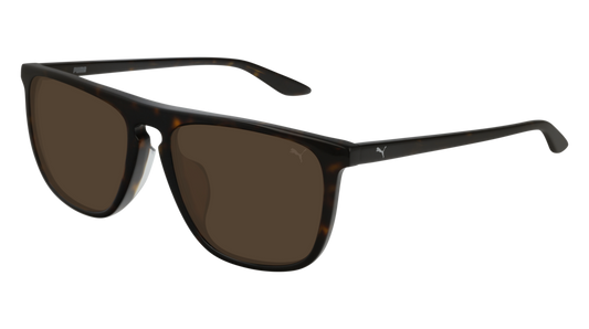 Puma Sunglass Man Havana Havana Brown