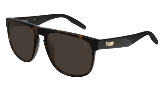 Puma Sunglass Man Havana Havana Brown