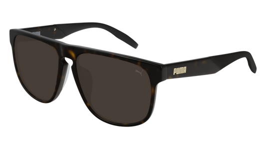 Puma Sunglass Man Havana Havana Brown