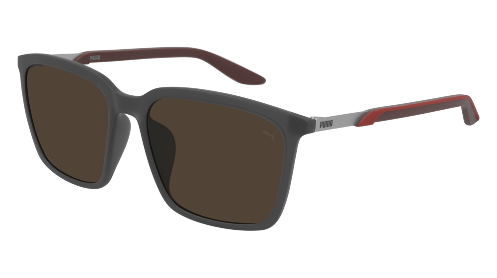 Puma Sunglass Man Grey Burgundy Brown