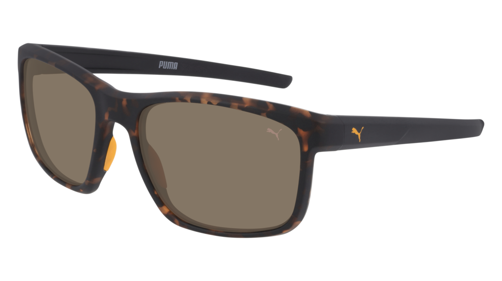 Puma Sunglass Man Havana Black Brown