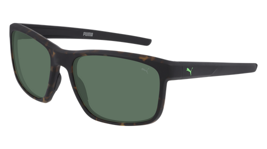 Puma Sunglass Man Havana Black Green