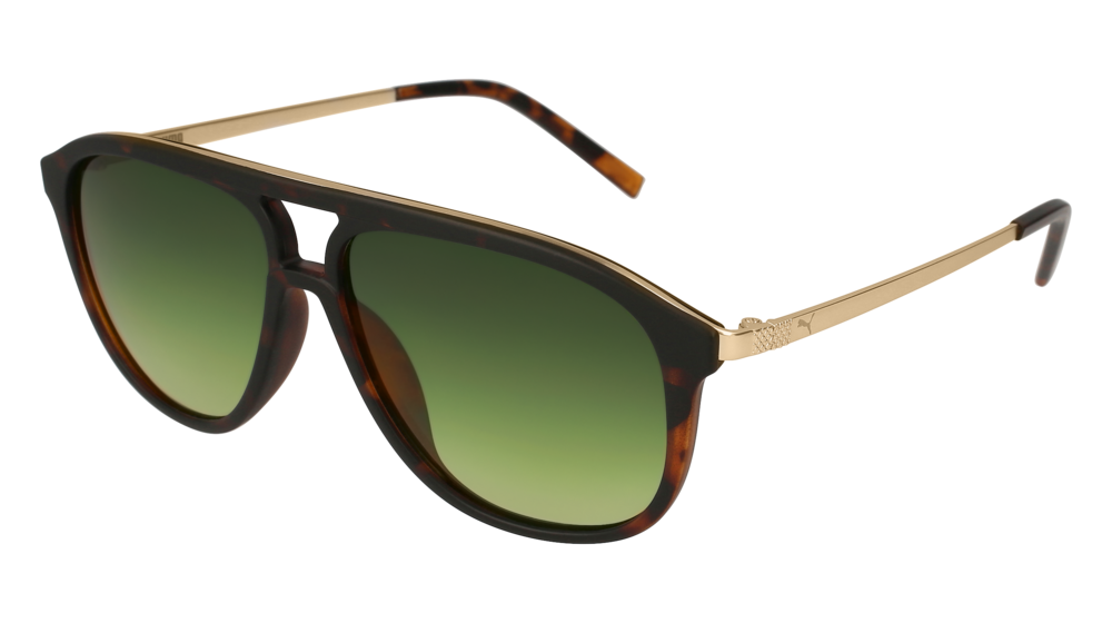 Puma Sunglass Man Havana Gold Green